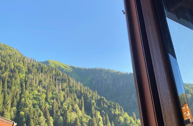 Ayder Wooden Rooms