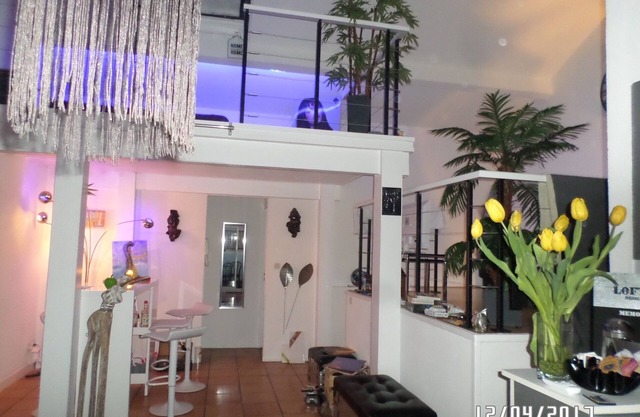 Béziers small LOFT White 70m2 quiet, allées Riquet