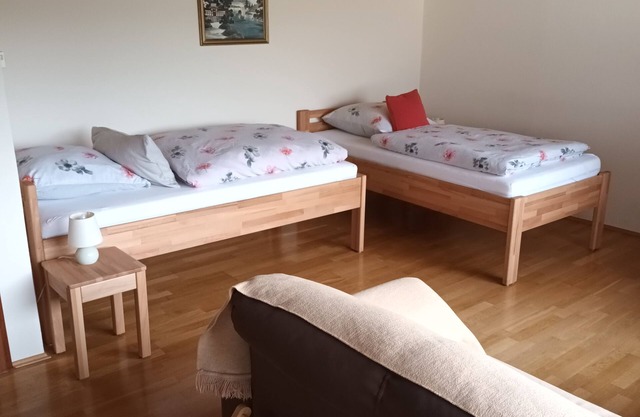 Büdingen 1-room apartment bright and suitable for allergy sufferers