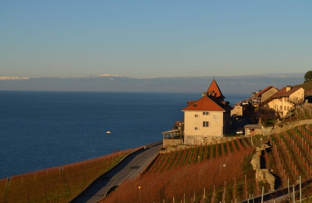 B&B Burignon