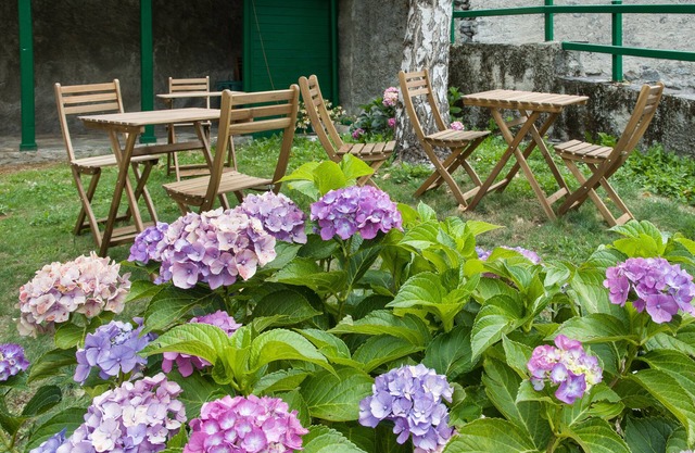 B&B Ca' d'Ambra