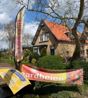 B&B Dol - Fijn