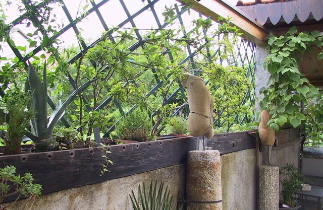 B&B Il Rustico