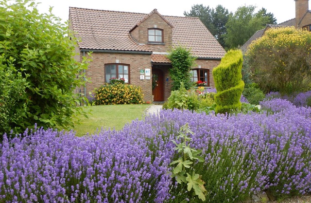 B&B La Chrysalide
