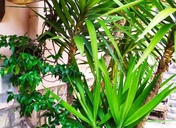 B&B La Peschiera