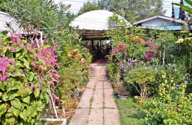 Baanbon Homestay