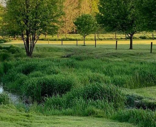 Backyard Farm Retreat.Home of Peace an Relaxation.