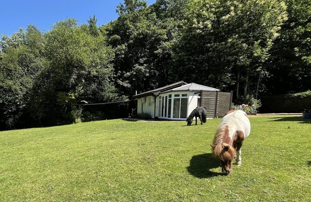 BADGER VIEW, romantic, luxury holiday cottage in Culverstone Green