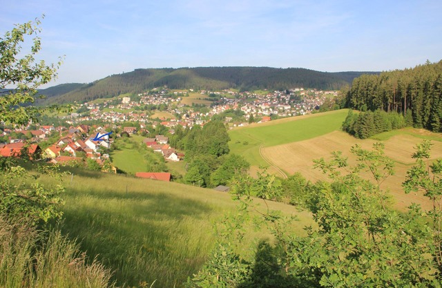Baiersbronn, Black Forest, Schwarzwald, view, 2 rooms, sun, balcony, quietness