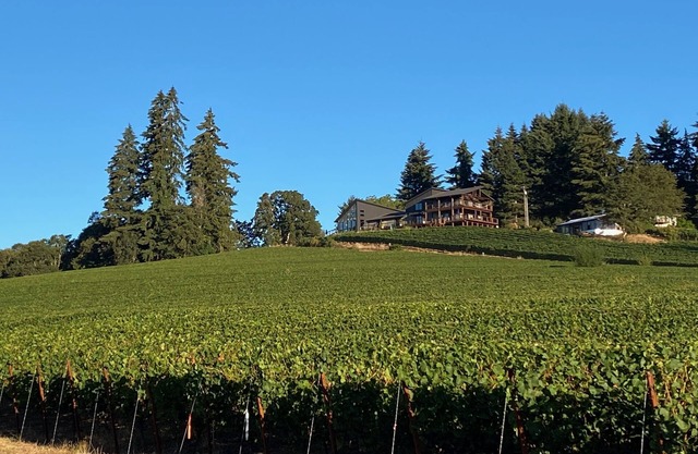 Balanza Vineyard Guest House