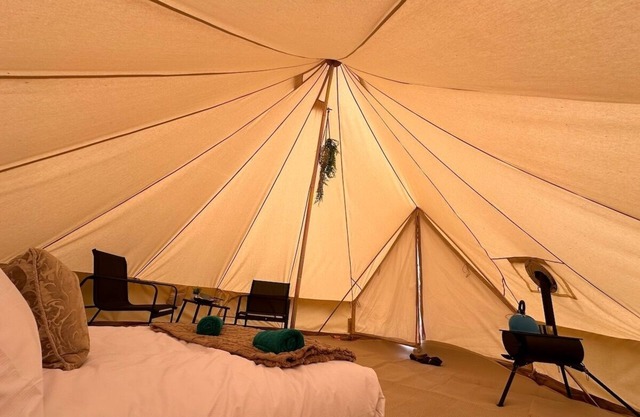 Barn Owl Tent in Meadow