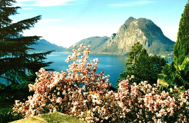 Barony "Violetta" near Castagnola lake, pool, air n conditioning, parking