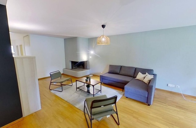 Basic 1-Bedroom Zurich Stay with Sofa Bed