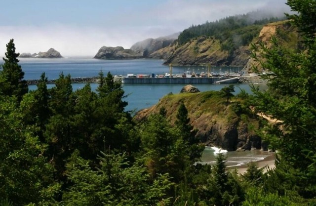 Battle Rock House-Port Orford - Spectacular ViewsnNo WindnBroadband Internet
