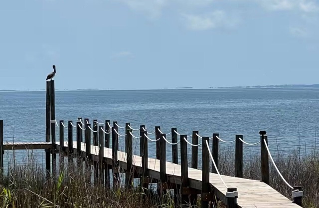 🌴Bay Breeze Believer Apalachicola Bay Front Home with Fishing Dock🌴