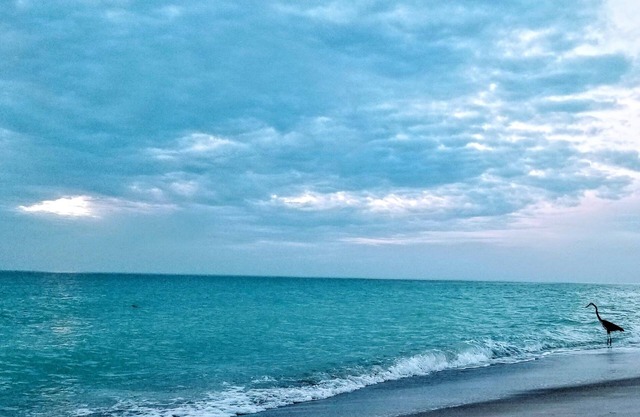 Bayport Beach & Tennis Club ~ A Beach to Bay Tropical Oasis!