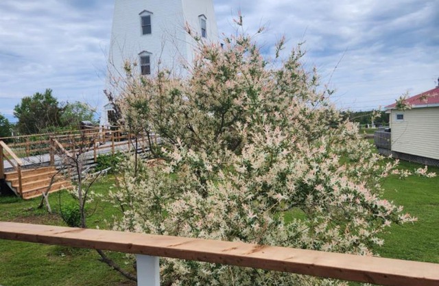 Baywatch Lighthouse Cottages & Motel