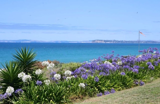 Beachfront, rustic, sunny 3 bdrm house, with birdlife.