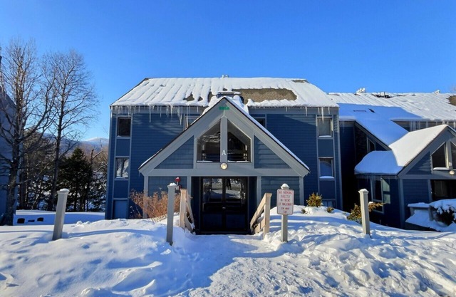 Bear8 Sleeps 20, AC, Pool, Close to Resort, Fireplaces