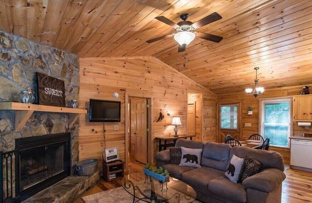 Beary Irresistable - Hot tub & Prime Location!
