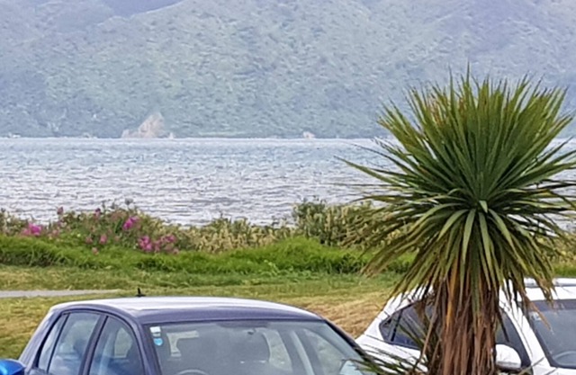 Beaut Beach House - across road from the beach!!!