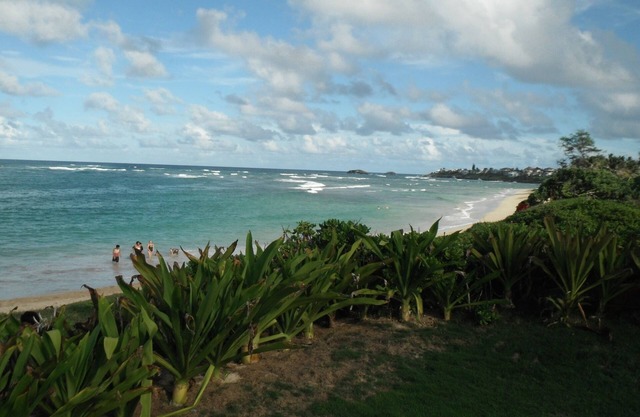 Beautiful 2 Bedroom Hukilau Beach Apt.