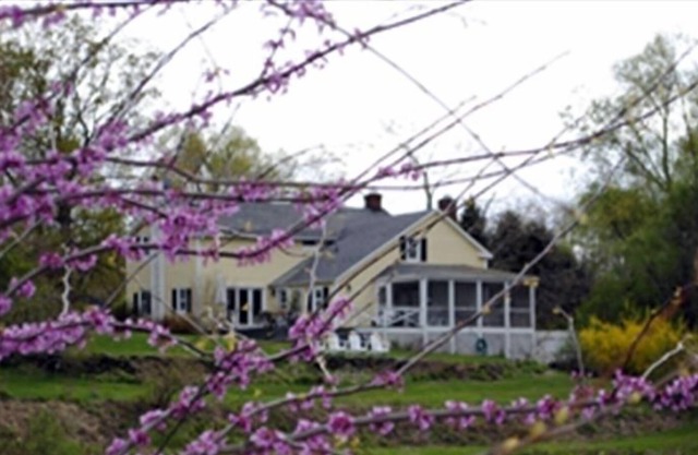 Beautiful 3 Bedroom Farmhouse with Pool, Pond and Vegetable Garden