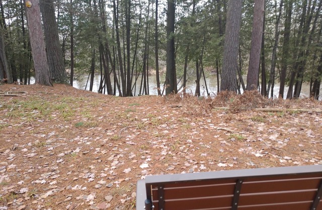 Beautiful 3 bedroom home on Rifle River