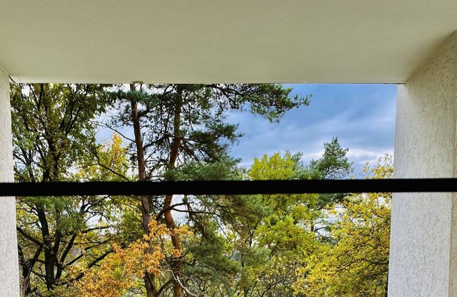 Beautiful apartment with forest view in Dillenburg