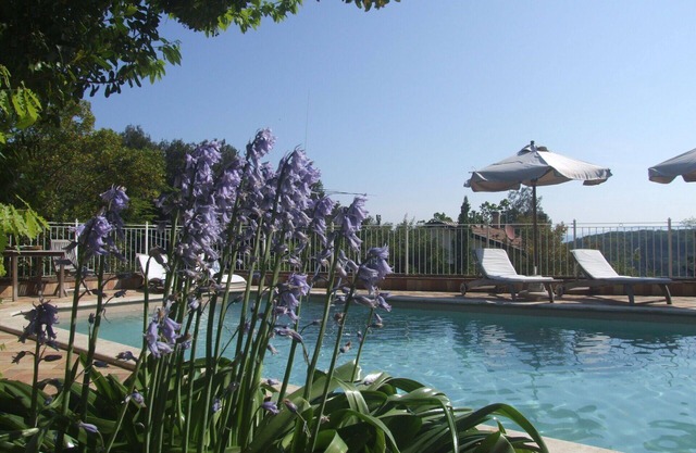 Beautiful apartment for 4 people with pool, WIFI, TV, patio and parking