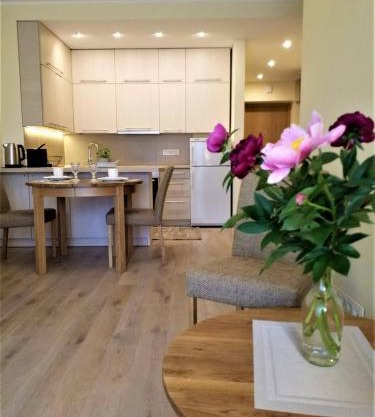 Beautiful Apartment in the heart of Birstonas