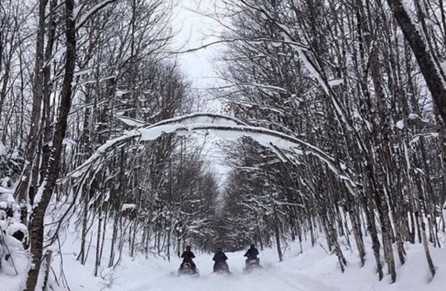 Beautiful Black Mountain Recreational Area Vacation Rental Cheboygan, MI