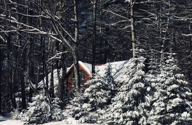 Beautiful Cabin for an affordable Getaway!