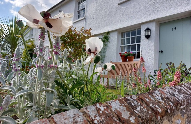 Beautiful cosy Rosebud Cottage in picturesque Steyning