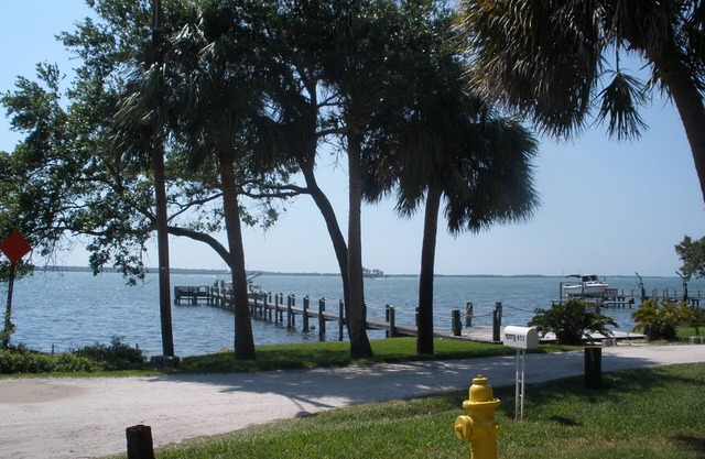 Beautiful Downtown Condo in the Heart of Dunedin