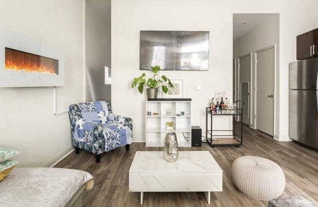 Beautiful Loft Style Apartment in the heart of Down Town Silver Spring.