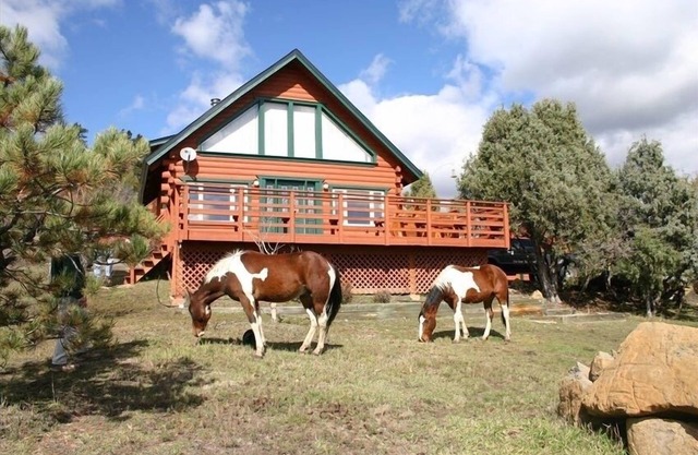 Beautiful Log Home on Five Acres with Horse Facilities!