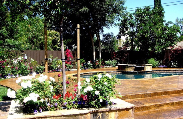 Beautiful, Luxurious, Resort Like Home in Sherwood Forest, California