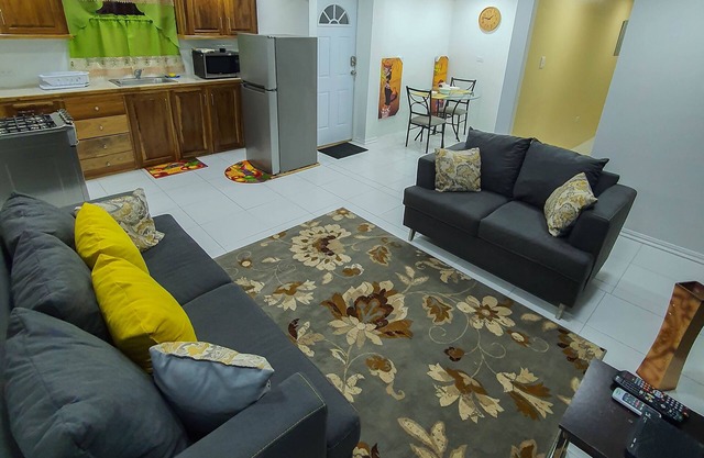 Beautiful Modern 1BR Condo With Full Amenities