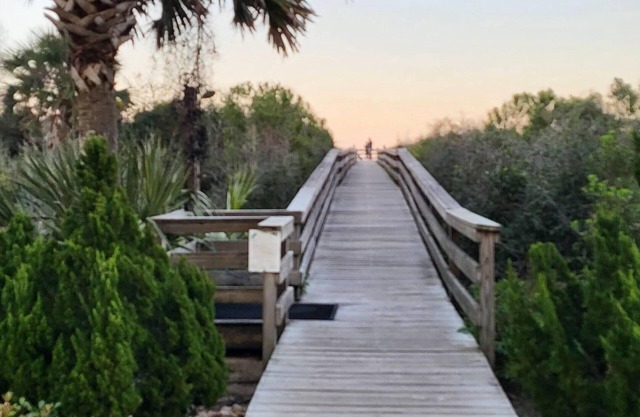 Beautiful, Peaceful Oceanfront Condo