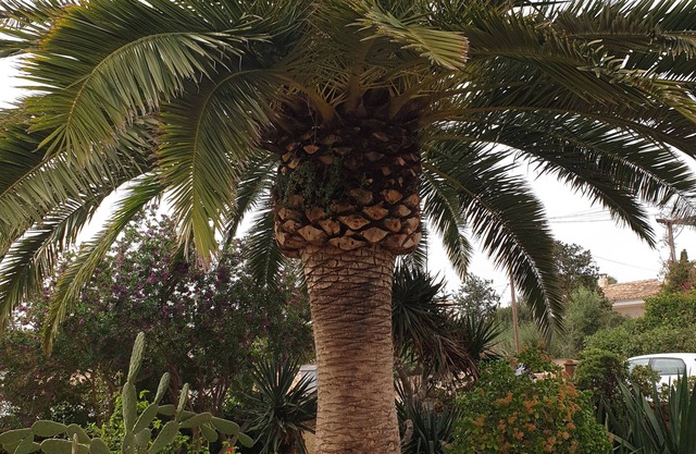 Beautiful small finca in the bay of Cala Romantica