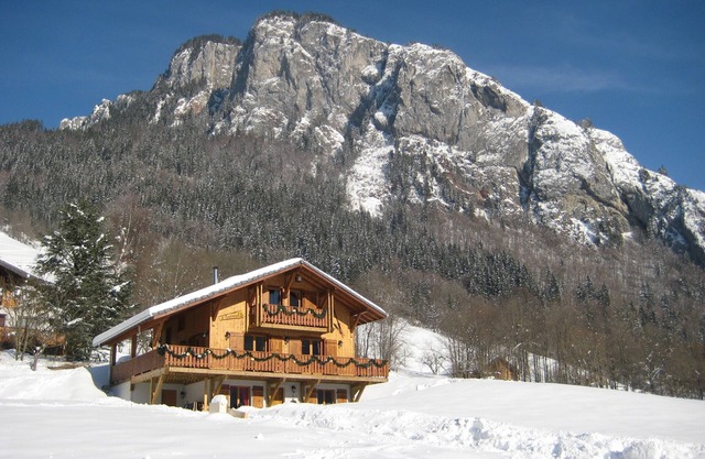 Beautiful, spacious 12 person chalet, Portes du Soleil, France