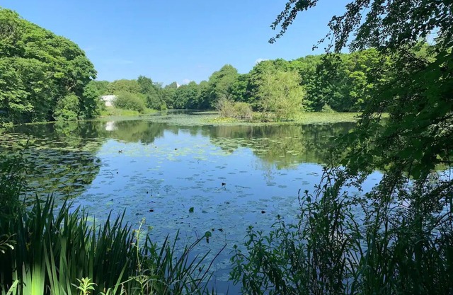 Beautiful stay next to lakes and river