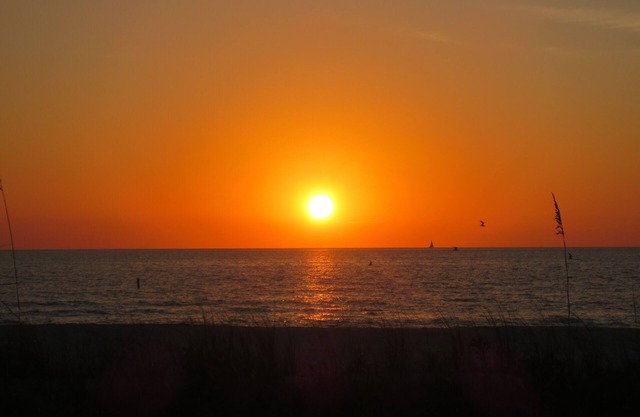 Beautiful Sunsets on the Beach!
