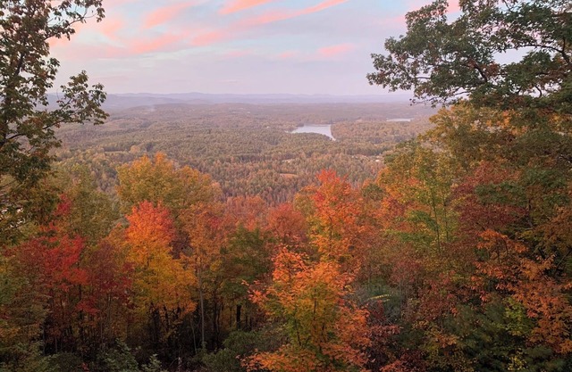 Beautiful views from every room in this spacious, secluded home with fast wifi