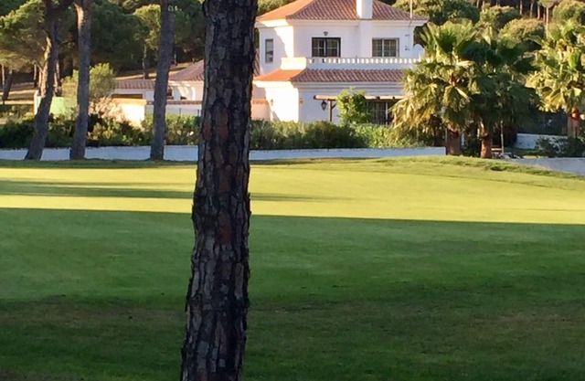 Beautiful villa , close to the beach . Secluded garden with private pool.