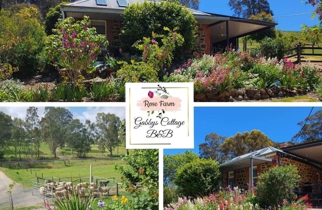 Beautifully renovated country cottage located near Mclaren Vale's best wineries
