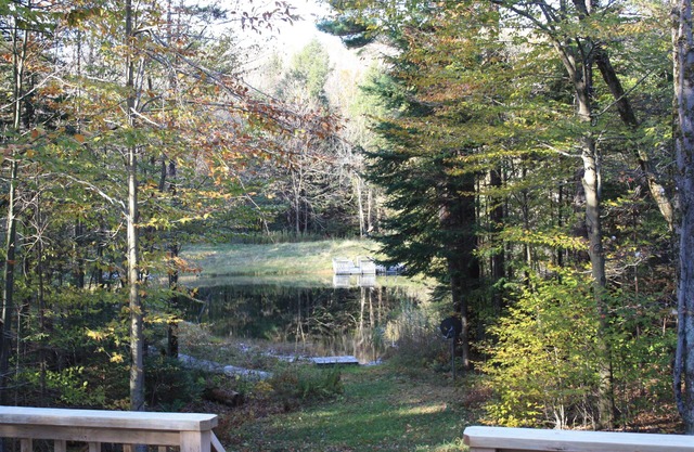 Becket Contemporary Cottage in the Woods Overlooking a Private Spring Fed Pond