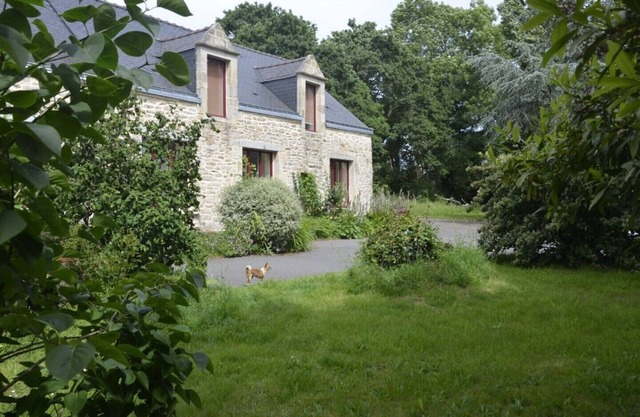 ---- Bed and breakfast--