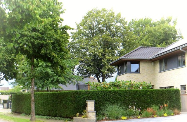 Bed and breakfast Mentari
